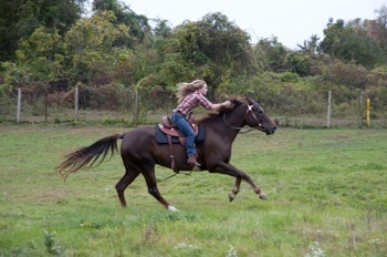 my horse scooter